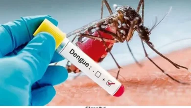 ডেঙ্গু সংক্রমণ: ৫ মৃত্যু, ৮১ হাজার আক্রান্ত, উদ্বেগ বৃদ্ধি