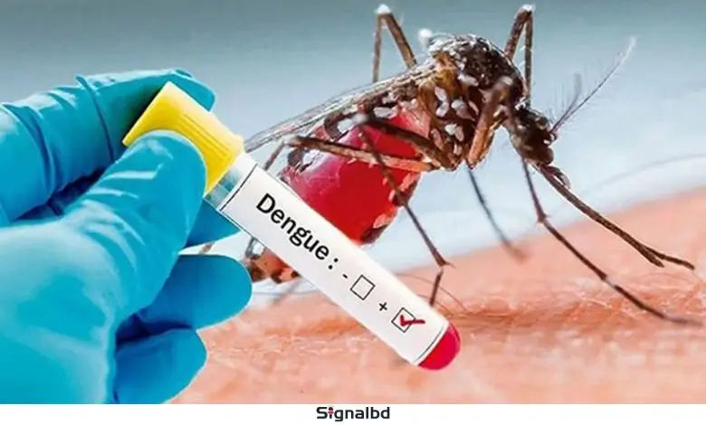 ডেঙ্গু সংক্রমণ: ৫ মৃত্যু, ৮১ হাজার আক্রান্ত, উদ্বেগ বৃদ্ধি