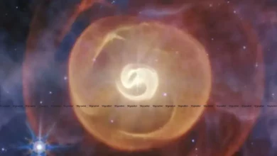 জেমস ওয়েব টেলিস্কোপের চোখে ধরা পড়ল অস্বাভাবিক নক্ষত্রব্যবস্থা