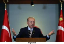 যুদ্ধবিরতায় হামাস ইসরাইলের চেয়ে বেশি প্রতিশ্রুতিবদ্ধ: এরদোগান