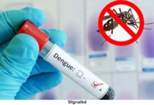 ডেঙ্গু আক্রান্তে একদিনে হাসপাতালে ভর্তি ৮৩৪ রোগী