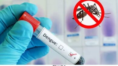 ডেঙ্গু আক্রান্তে একদিনে হাসপাতালে ভর্তি ৮৩৪ রোগী