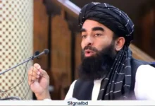 পাকিস্তানের আফগানিস্তানে হামলার পেছনে দুইটি উদ্দেশ্য: মাওলানা মুজাহিদ