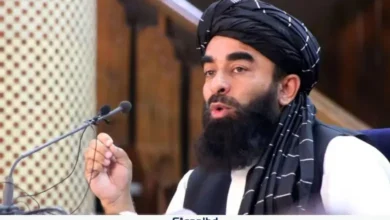 পাকিস্তানের আফগানিস্তানে হামলার পেছনে দুইটি উদ্দেশ্য: মাওলানা মুজাহিদ