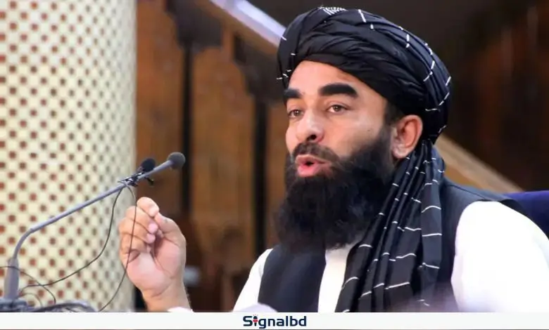 পাকিস্তানের আফগানিস্তানে হামলার পেছনে দুইটি উদ্দেশ্য: মাওলানা মুজাহিদ