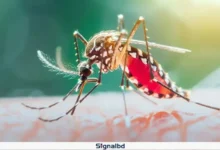 ২৪ ঘণ্টায় ডেঙ্গুতে ৭ জনের মৃত্যু হাসপাতালে নতুন ৫৬৭ রোগী