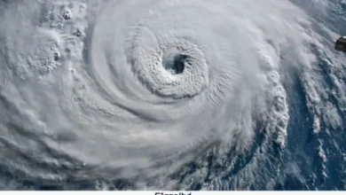 বঙ্গোপসাগরে ৪৮ ঘণ্টার মধ্যে ঘূর্ণিঝড়, নিম্নচাপ ঘনীভূত