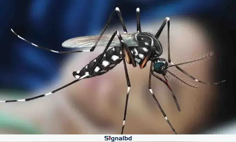 ডেঙ্গুতে একদিনে ৩ জনের মৃত্যু, হাসপাতালে ভর্তি ৬১৫