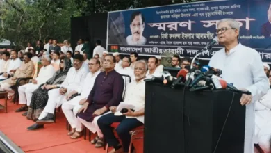 নির্বাচন নিয়ে কোন ষড়যন্ত্র বরদাশত করা হবে না: মির্জা ফখরুল