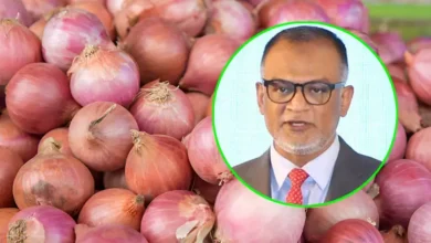 পেঁয়াজের দাম কমাতে যে হুঁশিয়ারি দিলেন বাণিজ্য উপদেষ্টা