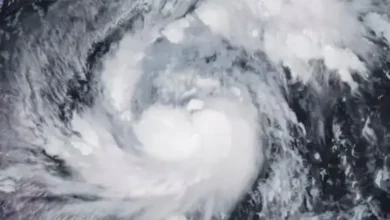 ১৮৫ কি.মি. গতিতে আঘাত হানবে ‘সুপার টাইফুন’ ফাং ওয়াং