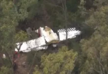 মাঝ আকাশে ২ উড়োজাহাজের সংঘর্ষ, বিমান বিধ্বস্ত হয়ে পাইলট নিহত