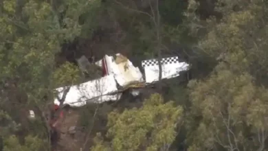 মাঝ আকাশে ২ উড়োজাহাজের সংঘর্ষ, বিমান বিধ্বস্ত হয়ে পাইলট নিহত