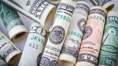 নভেম্বরের ১১ দিনে প্রবাসীরা দেশে পাঠিয়েছেন ১২৩ কোটি ডলার