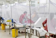 রাজধানীতেই ডেঙ্গু আক্রান্ত ২১৭, দেশজুড়ে আতঙ্ক!
