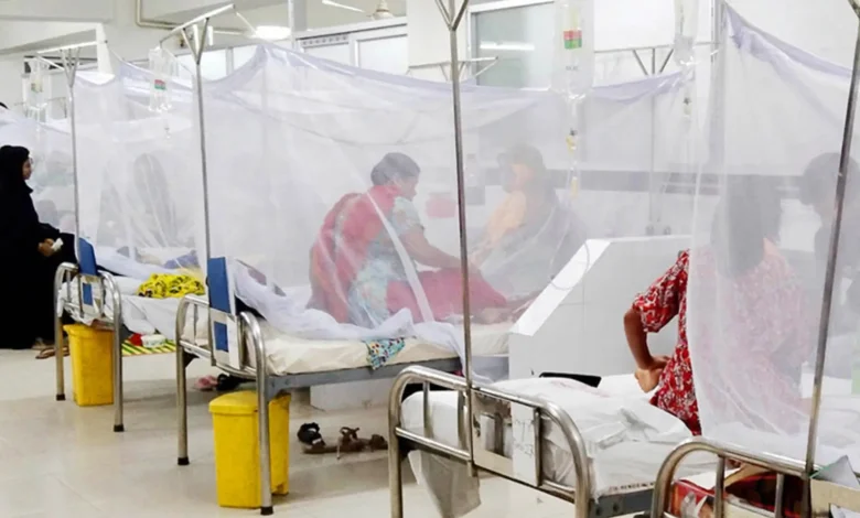 রাজধানীতেই ডেঙ্গু আক্রান্ত ২১৭, দেশজুড়ে আতঙ্ক!