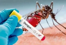 ২৪ ঘণ্টায় ডেঙ্গুতে ৬ জনের মৃত্যু, হাসপাতালে সহস্রাধিক