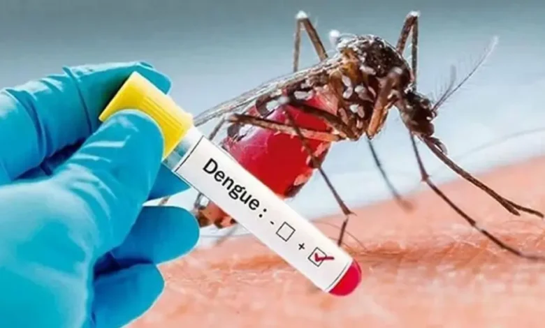 ২৪ ঘণ্টায় ডেঙ্গুতে ৬ জনের মৃত্যু, হাসপাতালে সহস্রাধিক