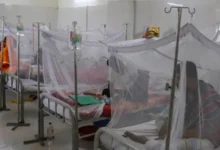 ডেঙ্গু কেড়ে নিল আরও ৫ প্রাণ, একদিনে হাসপাতালে ১১৩৯ রোগী ভর্তি