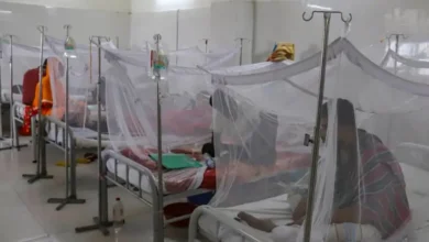 ডেঙ্গু কেড়ে নিল আরও ৫ প্রাণ, একদিনে হাসপাতালে ১১৩৯ রোগী ভর্তি