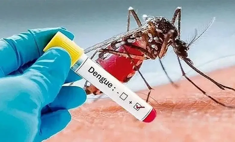 ডেঙ্গুতে আরও ২ জনের মৃত্যু, হাসপাতালে ভর্তি ৭০৫
