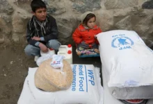 প্রতি ১০ আফগান পরিবারের নয়টিই না খেয়ে দিন কাটাচ্ছে: ইউএনডিপি