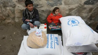 প্রতি ১০ আফগান পরিবারের নয়টিই না খেয়ে দিন কাটাচ্ছে: ইউএনডিপি