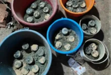 রাজধানীর অপরাধ জগতের ‘হেডকোয়ার্টার’ জেনেভা ক্যাম্প!