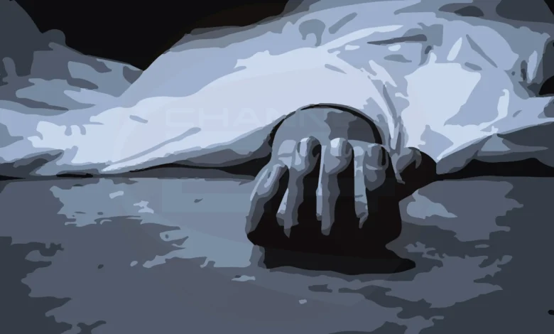 ১৫ বছরের কিশোরকে হত্যা করে লাশ পুকুরে ডুবিয়ে রাখে শাহীন: পুলিশ