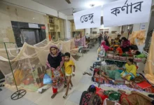 ডেঙ্গুতে আজ সর্বোচ্চ মৃত্যু ১০, সরকারি অবহেলার পরিণতি বলছেন জনস্বাস্থ্যবিদেরা