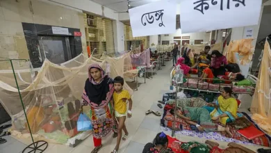 ডেঙ্গুতে আজ সর্বোচ্চ মৃত্যু ১০, সরকারি অবহেলার পরিণতি বলছেন জনস্বাস্থ্যবিদেরা