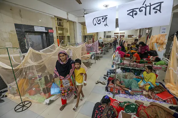 ডেঙ্গুতে আজ সর্বোচ্চ মৃত্যু ১০, সরকারি অবহেলার পরিণতি বলছেন জনস্বাস্থ্যবিদেরা