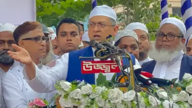 নির্বাচনের আগে একটি দল জাতির মধ্যে বিভক্তি সৃষ্টি করতে চায়: সালাহউদ্দিন আহমদ