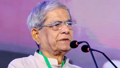 লুটপাটকারীদের শাস্তি দিন, প্রতিষ্ঠান বন্ধ করে বেকারত্ব বাড়াবেন না: মির্জা ফখরুল