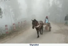 নবাবগঞ্জে বাড়ছে শীতের তীব্রতা, তাপমাত্রা নামল ১১.৮ ডিগ্রিতে