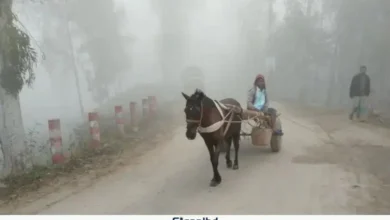নবাবগঞ্জে বাড়ছে শীতের তীব্রতা, তাপমাত্রা নামল ১১.৮ ডিগ্রিতে