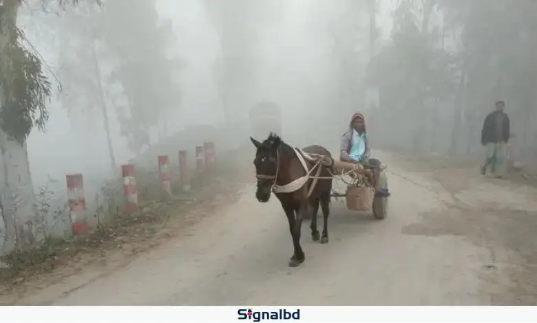 নবাবগঞ্জে বাড়ছে শীতের তীব্রতা, তাপমাত্রা নামল ১১.৮ ডিগ্রিতে