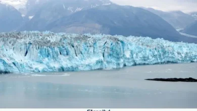 ৭ মাত্রার ভূমিকম্পে কেঁপে উঠল যুক্তরাষ্ট্র-কানাডা সীমান্ত