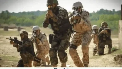 পাকিস্তানে সেনা অভিযানে ভারতীয় মদদপুষ্ট ১৪ সন্ত্রাসী নিহত