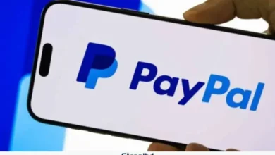বাংলাদেশে আসছে পেপ্যাল, ফ্রিল্যান্সারদের আন্তর্জাতিক লেনদেন মুক্তি