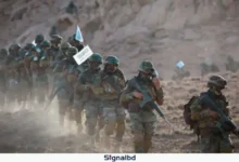 পাকিস্তানের হামলায় অন্তত ২৩ আফগান সেনা নিহত