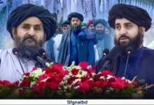 স্বাধীন ইসলামী সেনাবাহিনী গড়ে তুলেছে আফগানিস্তান, দাবি মোল্লাপুত্রের