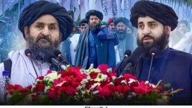 স্বাধীন ইসলামী সেনাবাহিনী গড়ে তুলেছে আফগানিস্তান, দাবি মোল্লাপুত্রের