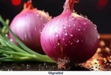 পেঁয়াজের কেজিতে দাম বেড়ে প্রায় ৫০ টাকা