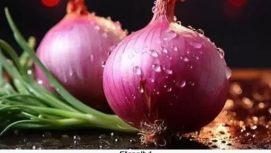 পেঁয়াজের কেজিতে দাম বেড়ে প্রায় ৫০ টাকা