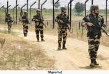 ঠাকুরগাঁও সীমান্তে বিএসএফের গুলিতে এক দশকে নিহত ২৪ বাংলাদেশি