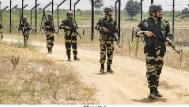 ঠাকুরগাঁও সীমান্তে বিএসএফের গুলিতে এক দশকে নিহত ২৪ বাংলাদেশি