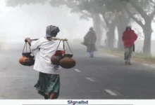 তেঁতুলিয়ায় সর্বনিম্ন তাপমাত্রা ১২ ডিগ্রি সেলসিয়াস