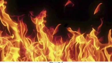 আগারগাঁওয়ে বিস্ফোরণ: গ্যাস লিকেজে দগ্ধ একই পরিবারের ৬