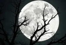 বছরের সবচেয়ে বড় ও শেষ সুপারমুন দেখল বিশ্ব